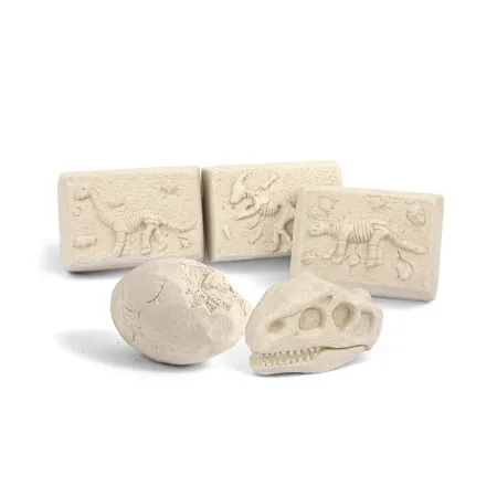 کیت اکتشاف داینو 5 در 1 - Image 6