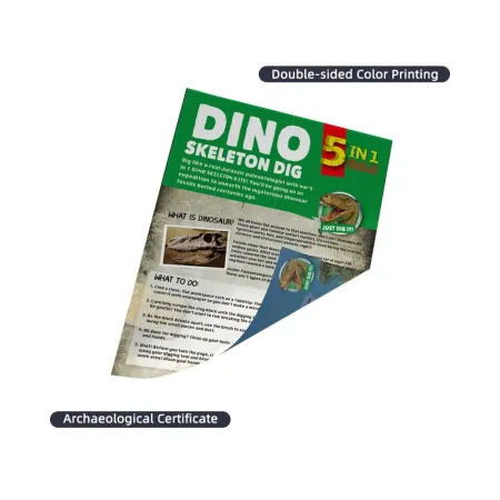 کیت اکتشاف داینو 5 در 1 - Image 3