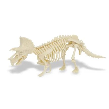 کیت اکتشاف دایناسور - triceratops