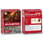 کیت اکتشاف دایناسور - Velociraptor - Image 2