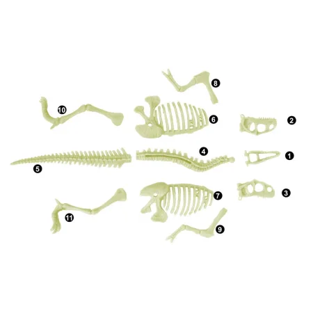 کیت اکتشاف دایناسور - Velociraptor - Image 5