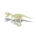 کیت اکتشاف دایناسور - Velociraptor - Image 6