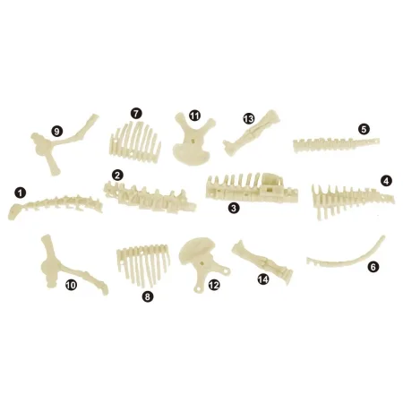 کیت اکتشاف دایناسور - Diplodocus - Image 3