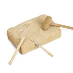 کیت اکتشاف دایناسور - Pterosaur - Image 3