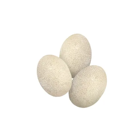 کیت اکتشاف تخم داینو - Image 6