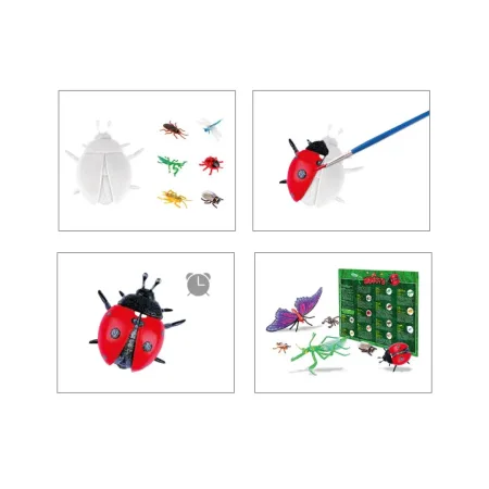 کیت رنگ آمیزی حشرات - Image 5