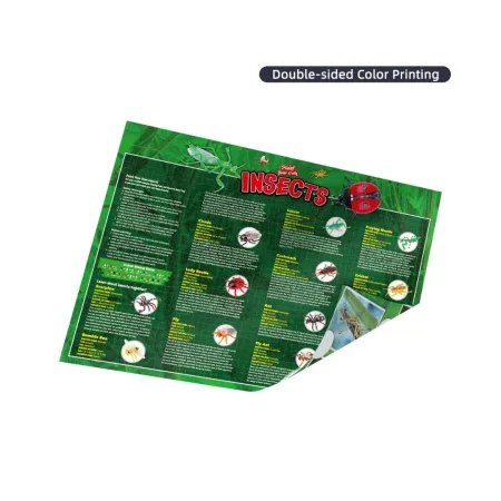 کیت رنگ آمیزی حشرات - Image 2