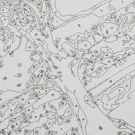 رنگ آمیزی با اعداد خام