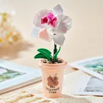 لگو گل ارکیده