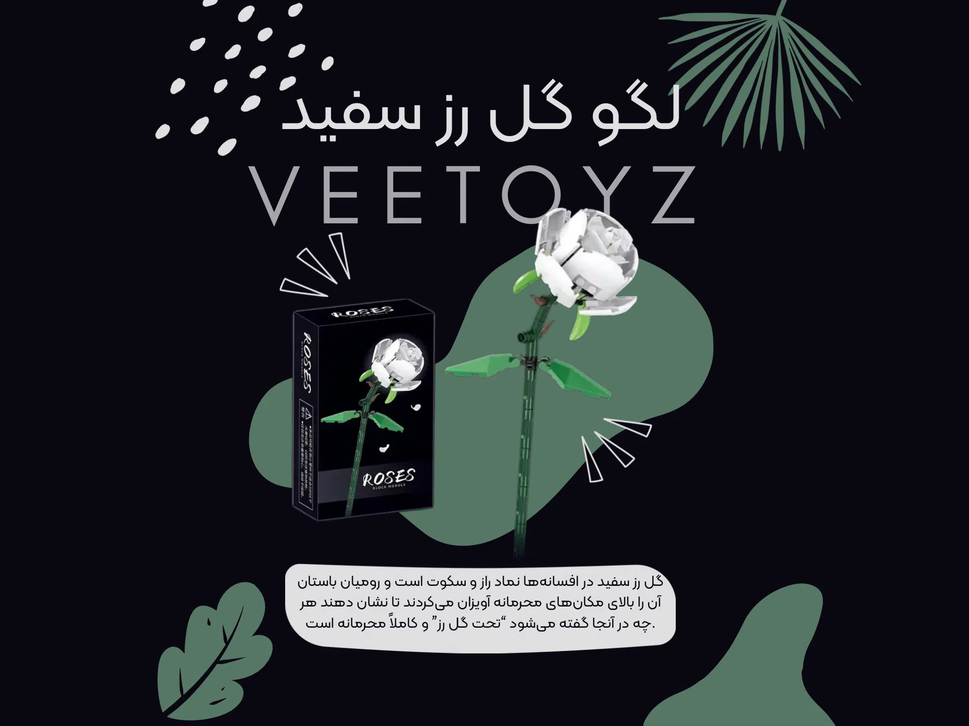 گل لگویی رز سفید